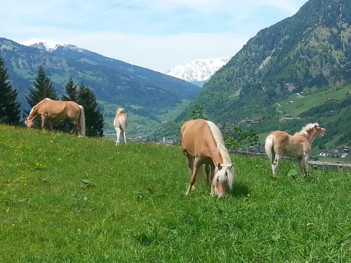 Ferienwohnung Schmalzgrubengut Bad Hofgastein Exterior foto