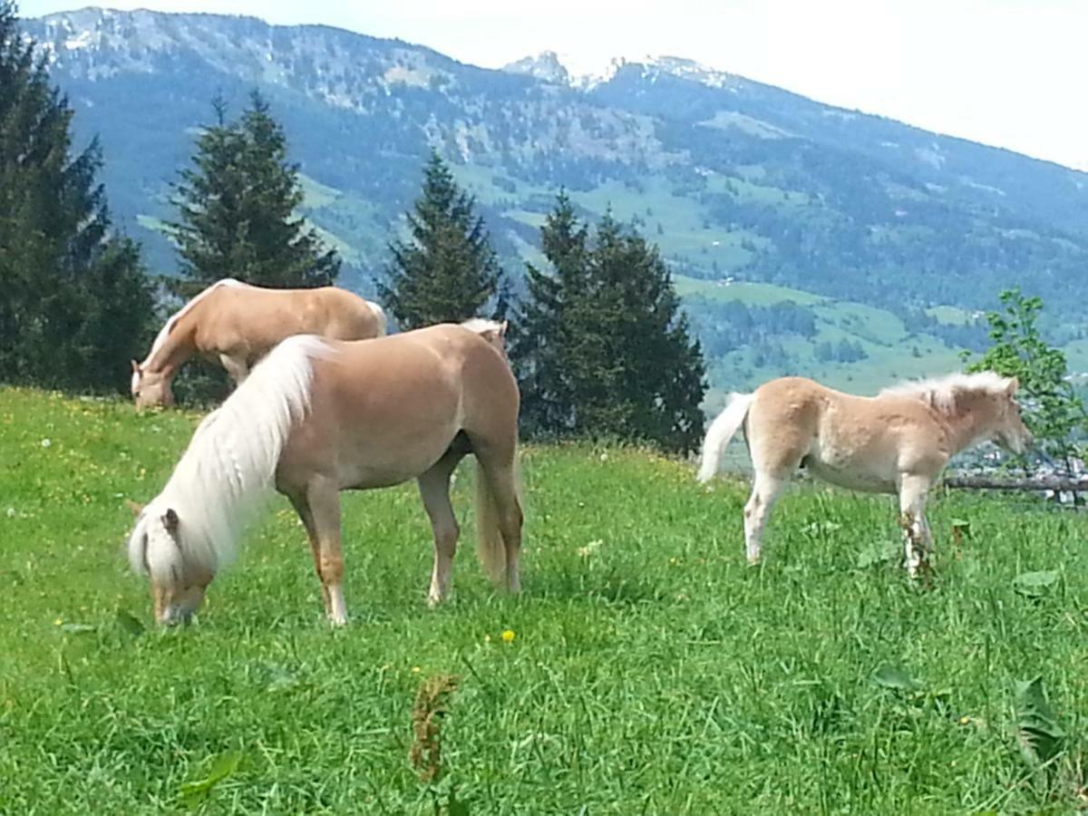 Ferienwohnung Schmalzgrubengut Bad Hofgastein Exterior foto